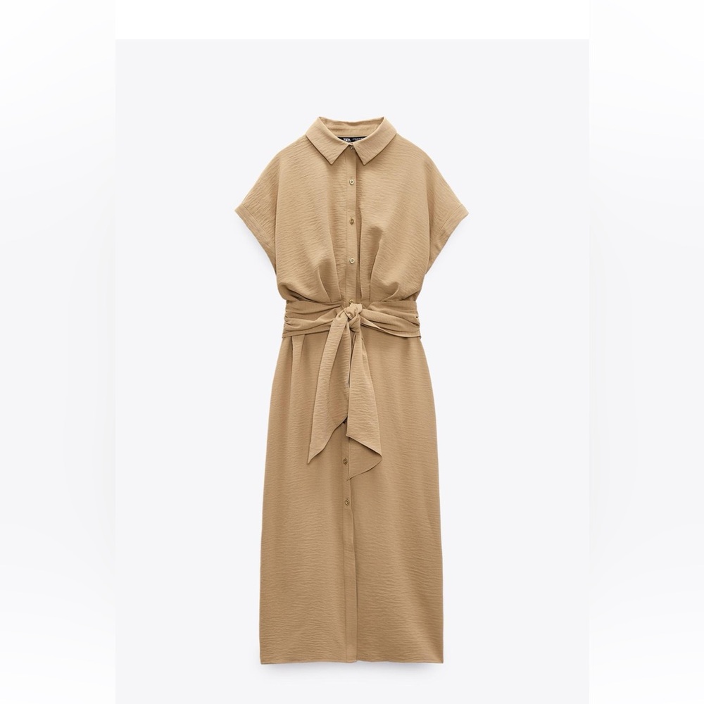 Zara Belted dress
